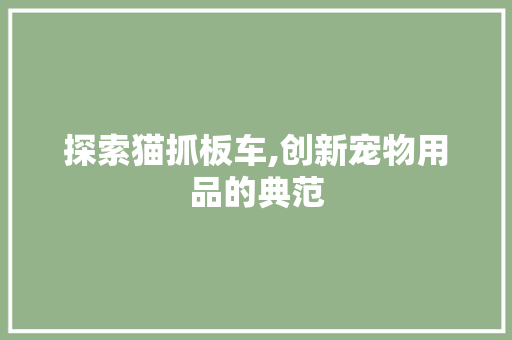 探索猫抓板车,创新宠物用品的典范