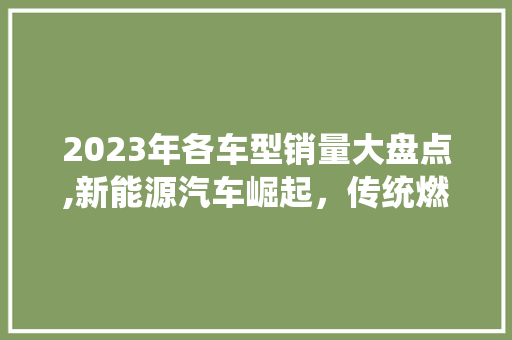 2023年各车型销量大盘点,新能源汽车崛起，传统燃油车面临挑战 新能源汽车