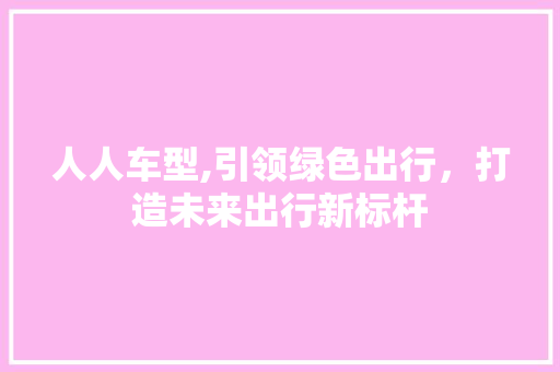 人人车型,引领绿色出行，打造未来出行新标杆