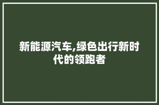 新能源汽车,绿色出行新时代的领跑者