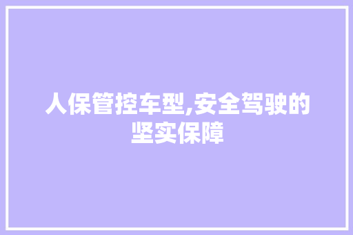 人保管控车型,安全驾驶的坚实保障