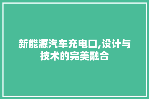 新能源汽车充电口,设计与技术的完美融合
