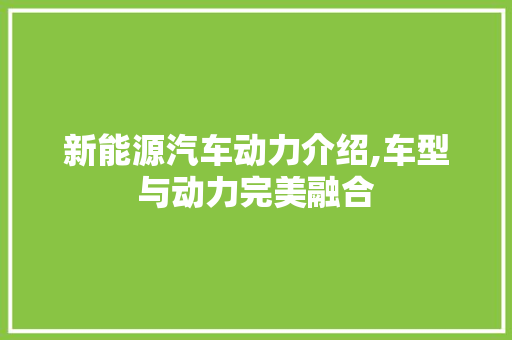 新能源汽车动力介绍,车型与动力完美融合
