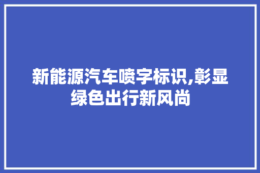 新能源汽车喷字标识,彰显绿色出行新风尚