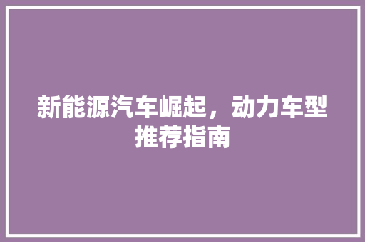 新能源汽车崛起，动力车型推荐指南