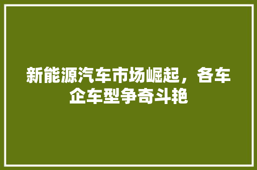 新能源汽车市场崛起，各车企车型争奇斗艳