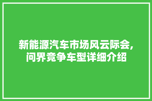 新能源汽车市场风云际会,问界竞争车型详细介绍