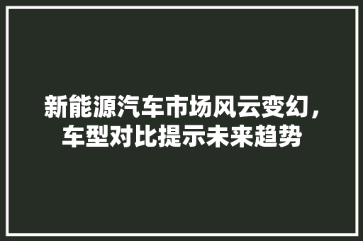 新能源汽车市场风云变幻，车型对比提示未来趋势