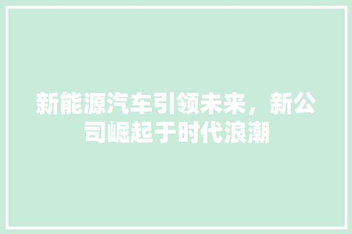 新能源汽车引领未来，新公司崛起于时代浪潮