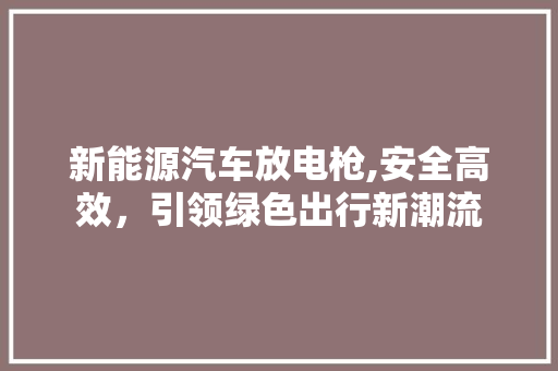 新能源汽车放电枪,安全高效，引领绿色出行新潮流