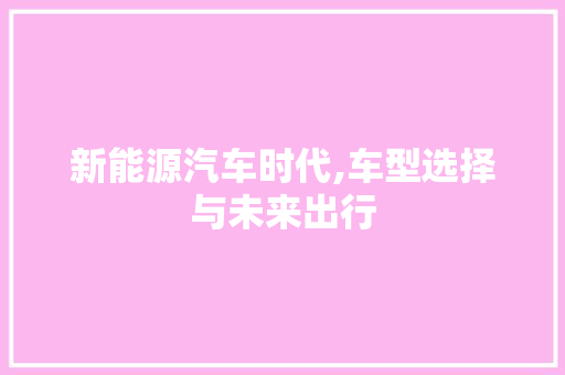 新能源汽车时代,车型选择与未来出行 蓄电池配件
