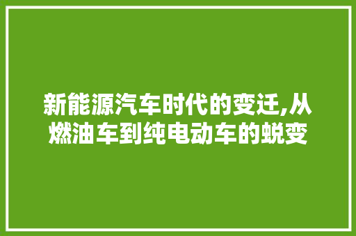 新能源汽车时代的变迁,从燃油车到纯电动车的蜕变