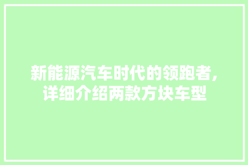新能源汽车时代的领跑者,详细介绍两款方块车型