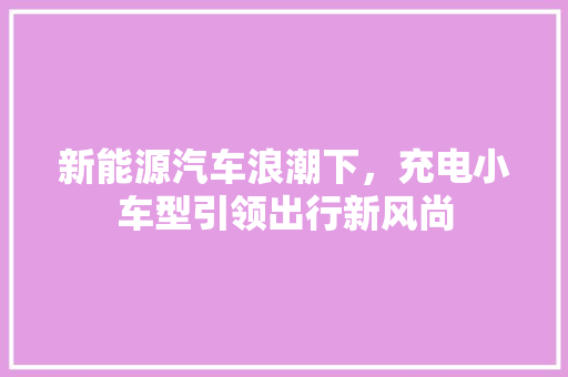 新能源汽车浪潮下，充电小车型引领出行新风尚