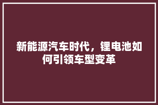 新能源汽车时代，锂电池如何引领车型变革