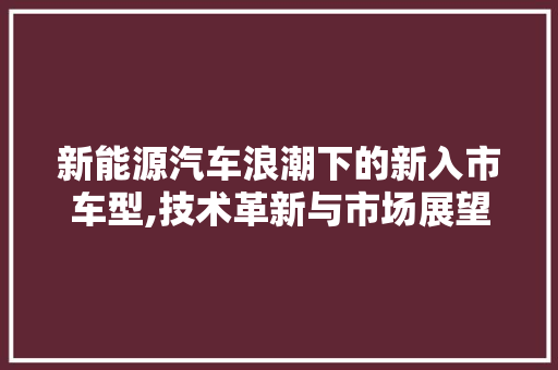 新能源汽车浪潮下的新入市车型,技术革新与市场展望 新能源汽车