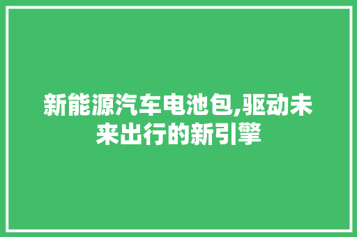 新能源汽车电池包,驱动未来出行的新引擎