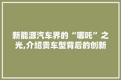 新能源汽车界的“哪吒”之光,介绍贵车型背后的创新与魅力