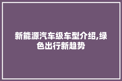 新能源汽车级车型介绍,绿色出行新趋势