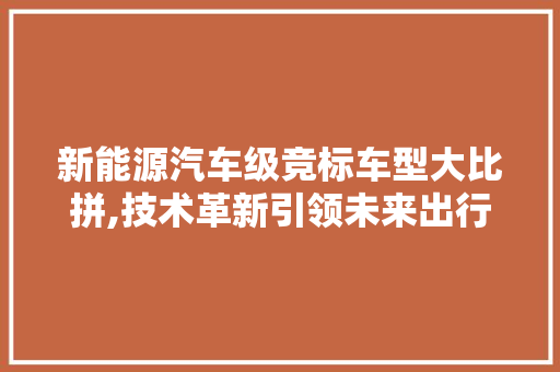 新能源汽车级竞标车型大比拼,技术革新引领未来出行