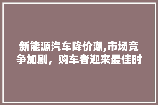新能源汽车降价潮,市场竞争加剧，购车者迎来最佳时机
