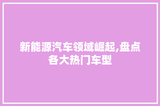 新能源汽车领域崛起,盘点各大热门车型