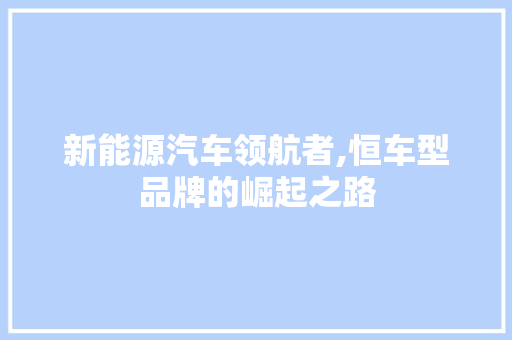 新能源汽车领航者,恒车型品牌的崛起之路