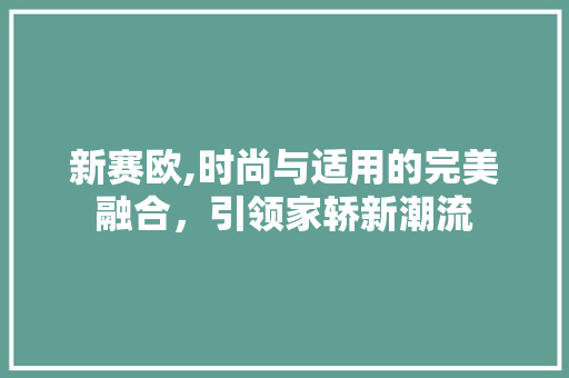 新赛欧,时尚与适用的完美融合，引领家轿新潮流