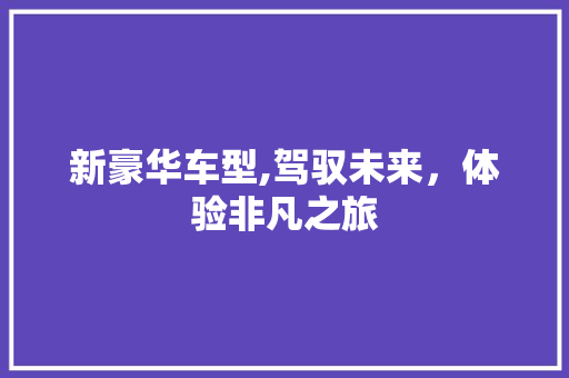 新豪华车型,驾驭未来，体验非凡之旅