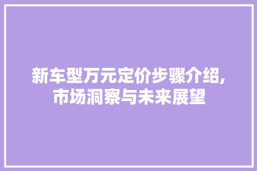 新车型万元定价步骤介绍,市场洞察与未来展望 蓄电池配件