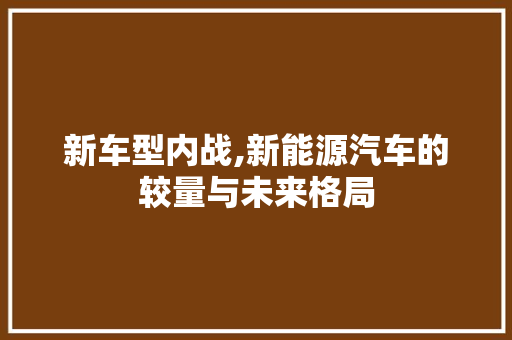 新车型内战,新能源汽车的较量与未来格局