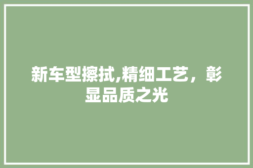 新车型擦拭,精细工艺，彰显品质之光