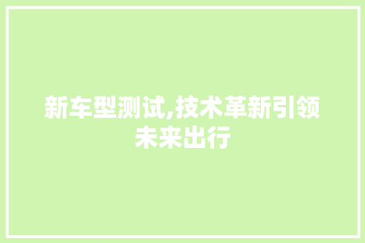 新车型测试,技术革新引领未来出行