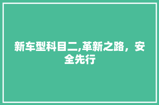 新车型科目二,革新之路，安全先行