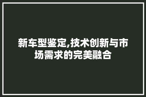 新车型鉴定,技术创新与市场需求的完美融合