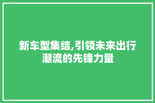 新车型集结,引领未来出行潮流的先锋力量