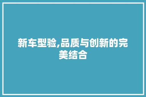 新车型验,品质与创新的完美结合