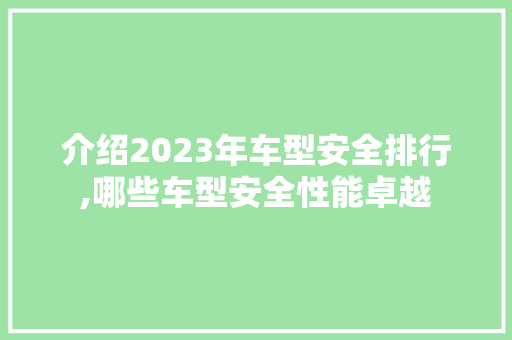 介绍2023年车型安全排行,哪些车型安全性能卓越