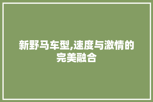 新野马车型,速度与激情的完美融合