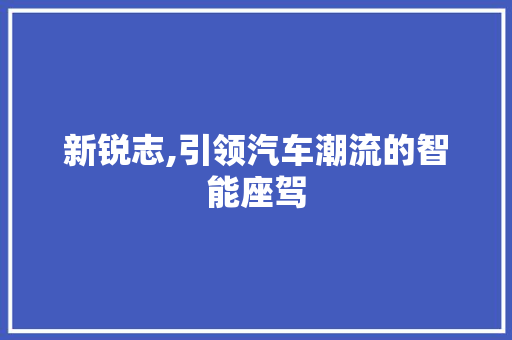 新锐志,引领汽车潮流的智能座驾