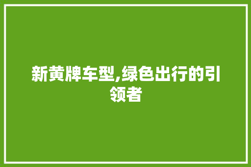 新黄牌车型,绿色出行的引领者