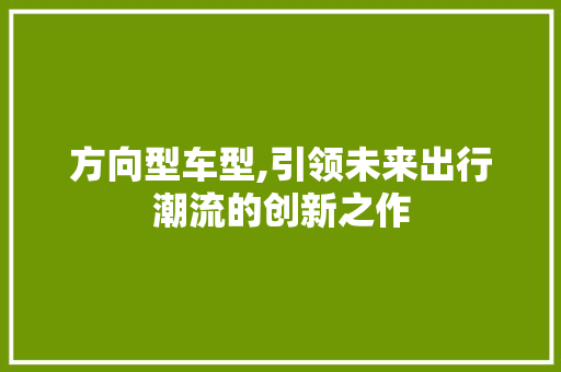 方向型车型,引领未来出行潮流的创新之作