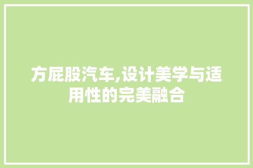 方屁股汽车,设计美学与适用性的完美融合
