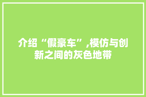 介绍“假豪车”,模仿与创新之间的灰色地带