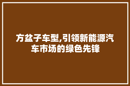 方盆子车型,引领新能源汽车市场的绿色先锋