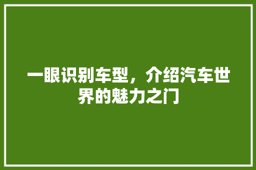一眼识别车型，介绍汽车世界的魅力之门