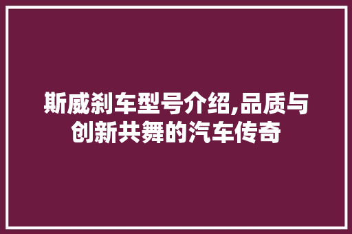 斯威刹车型号介绍,品质与创新共舞的汽车传奇