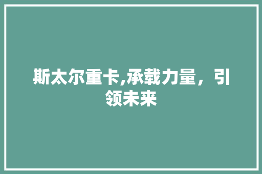 斯太尔重卡,承载力量，引领未来