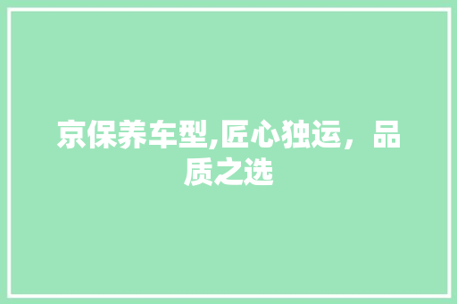 京保养车型,匠心独运，品质之选