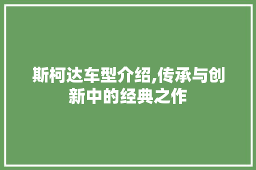 斯柯达车型介绍,传承与创新中的经典之作